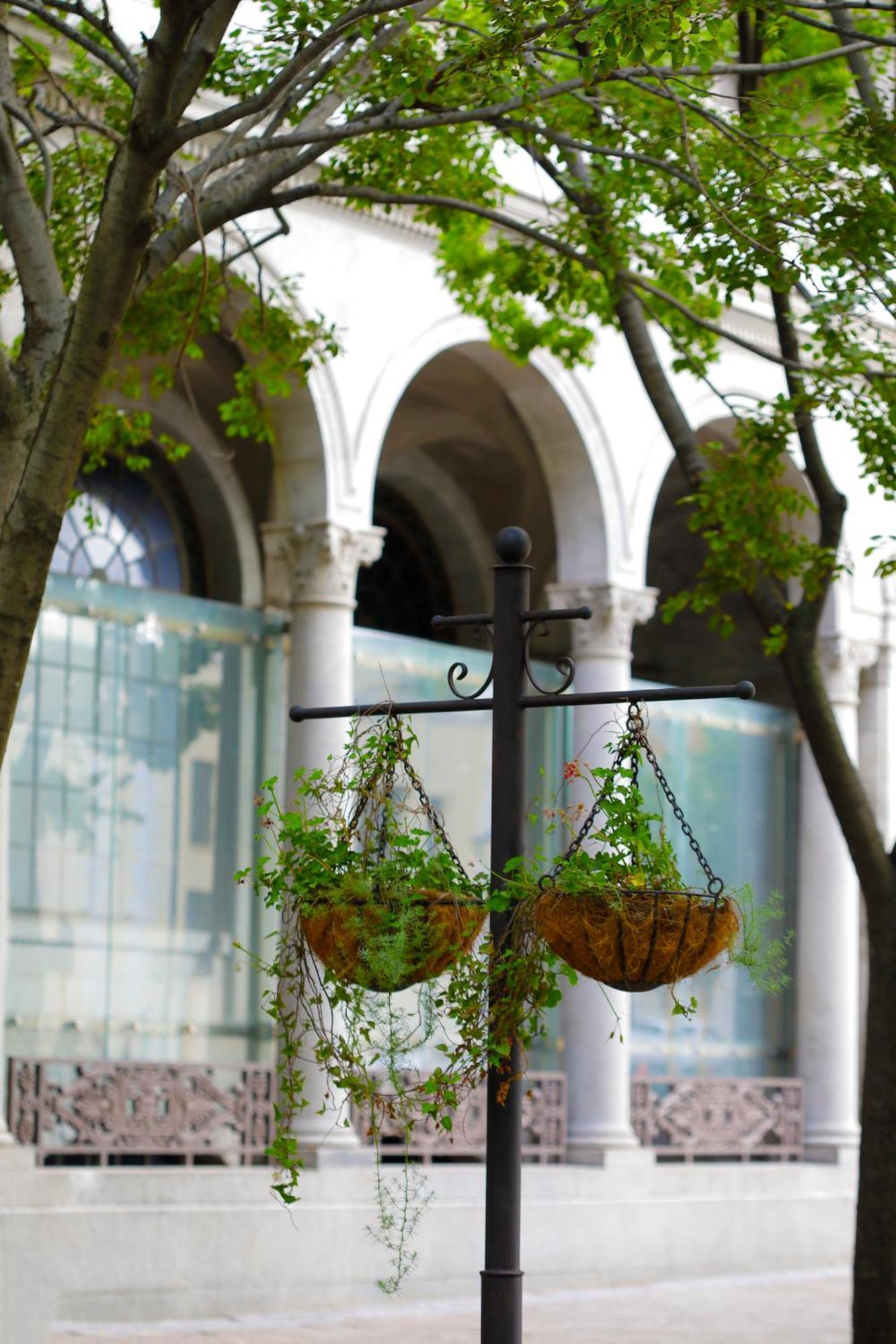 Labotessa Luxury Boutique Hotel Κέιπ Τάουν Εξωτερικό φωτογραφία